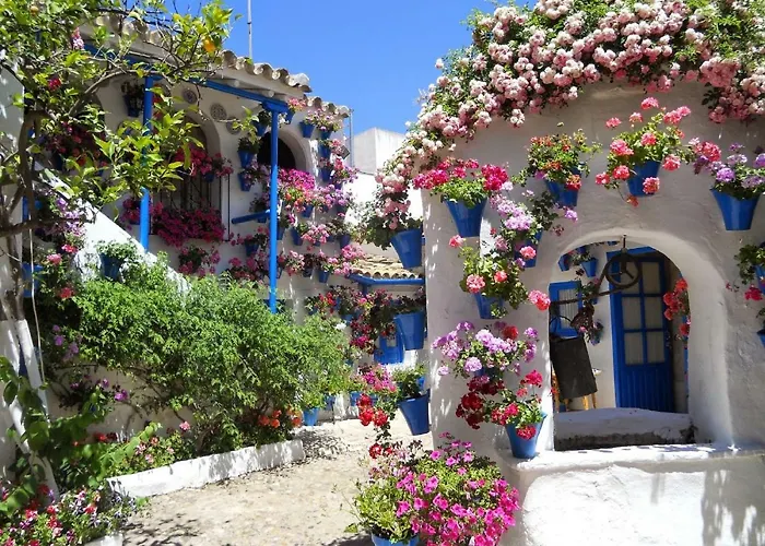 Patios De San Lorenzo Córdoba