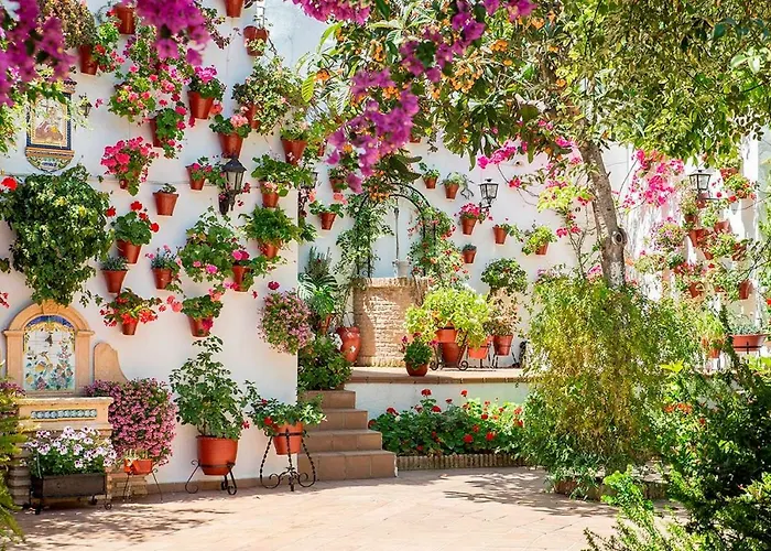Patios De San Lorenzo Cordoba