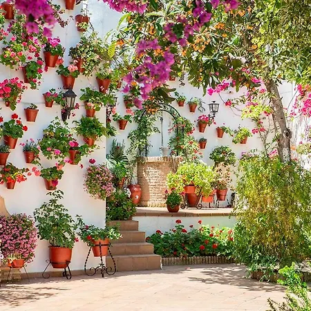 Patios De San Lorenzo Кордова